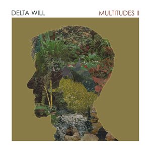 Multitudes II