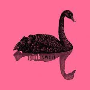 The Case Of The Pink Swan