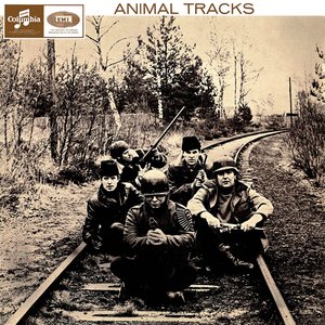 The Animals albums and discography 