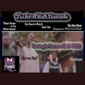 Image for 'The Art Of Black Diamonds'