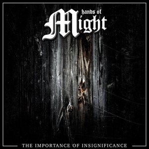 The Importance of Insignificance - Single