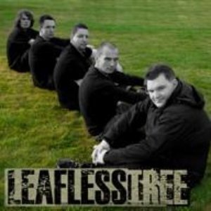 Leafless Tree 的头像