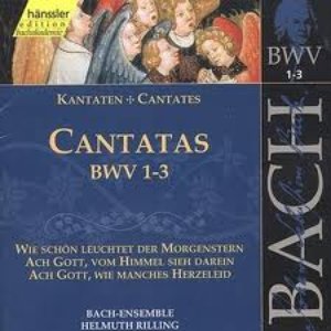 Изображение для 'BA001 - Kantaten BWV 1-3'