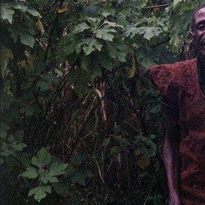Avatar for Batwa Bwindi Artists