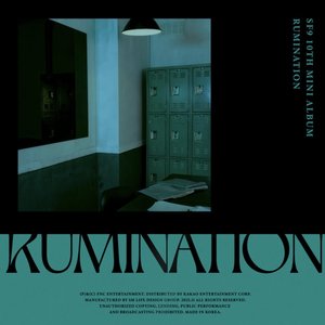 RUMINATION