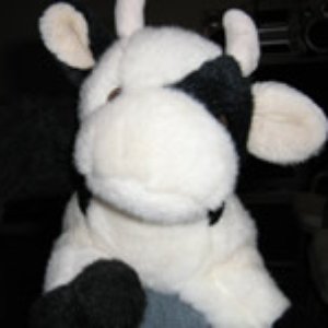 Cow Tse Tung Sound System 的头像