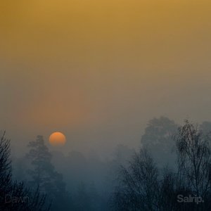 Dawn