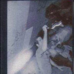 The Littleman Complex 的头像