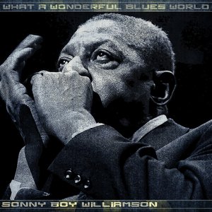 What a Wonderful Blues World