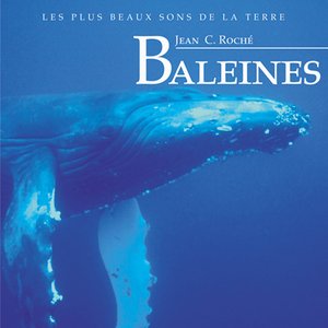 Baleines