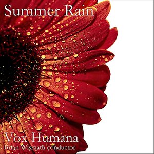 Summer Rain