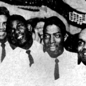 Stanley Mitchell & the Tornados 的头像