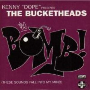 The Bomb! (These Sounds Fall Into My Mind)