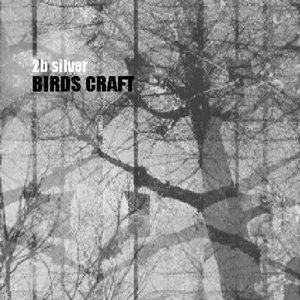 Birds Craft