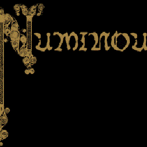 Numinous 的头像