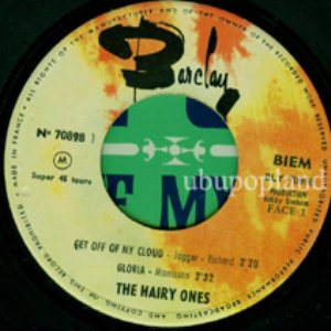 Hairy Ones 的头像