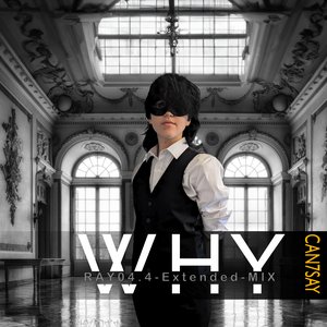 Why (Extended Clubmix)
