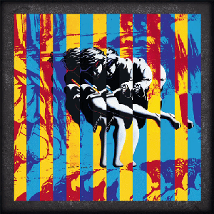 Use Your Illusion I & II