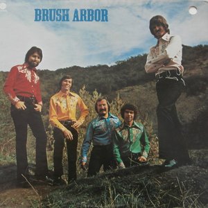 Brush Arbor 的头像