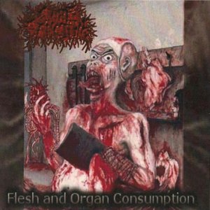 “Flesh and organ Consumption”的封面