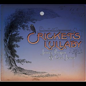Cricket's Lullaby