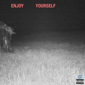 Enjoy Yourself