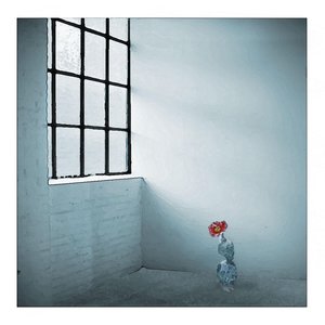 Paralyzed - Single