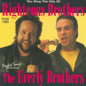 The Hits Of The Righteous Brothers / Everly Brothers