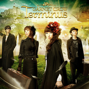 Terminus cover