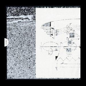 From Signal to Decay: Volume 5