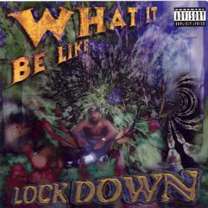 Lock Down 的头像