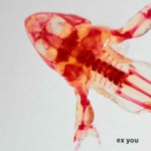 Ex You 的头像