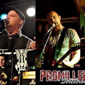Promilleritter 的头像
