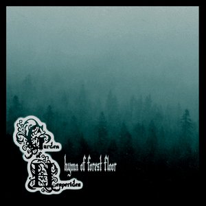 Hymn of Forest Floor