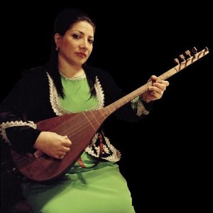 Latife Cheshmeli のアバター