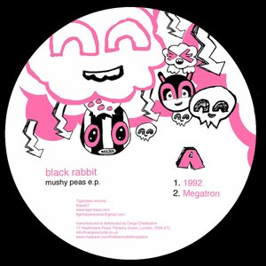 Black Rabbit 的头像