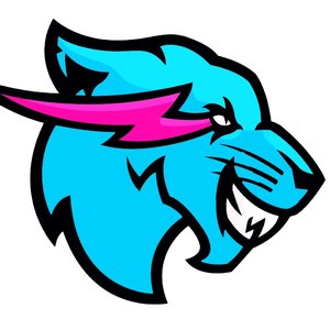 Avatar for MrBeast 2