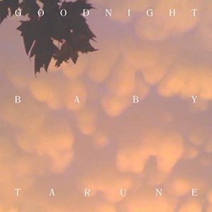 Goodnight Baby - Single