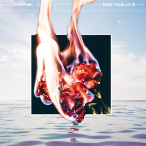 Need Your Love