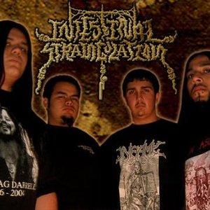 Intestinal Strangulation のアバター