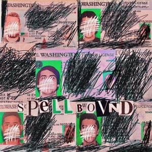 drivers license