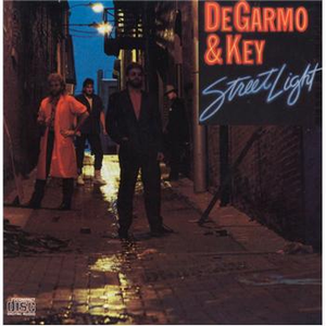 Street Light cover