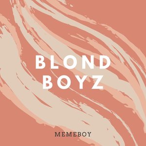 Memeboy 的头像