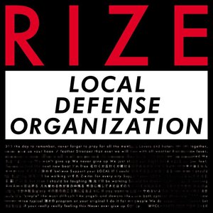 LOCAL DEFENSE ORGANIZATION