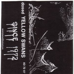 Dosed Yellow Swans 的头像