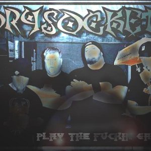 Drysocket 的头像