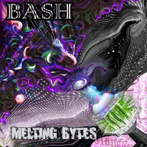 Melting Bytes