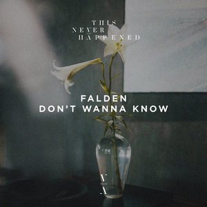 Don't Wanna Know - Single