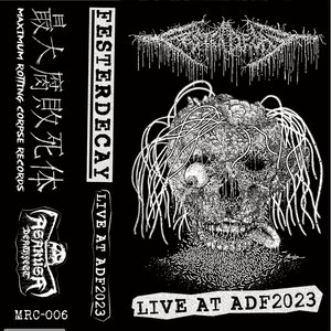 Live at ADF 2023