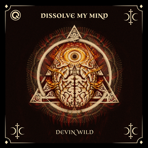 Devin Wild - Dissolve My Mind Lyrics - Zortam Music